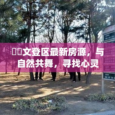 不翼而飞 第2页