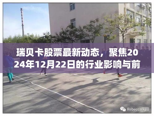 行业展望