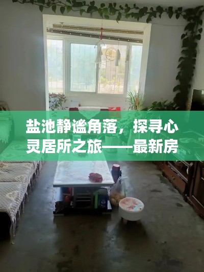 盐池静谧角落的心灵居所，最新房屋出售信息引领自然探索之旅