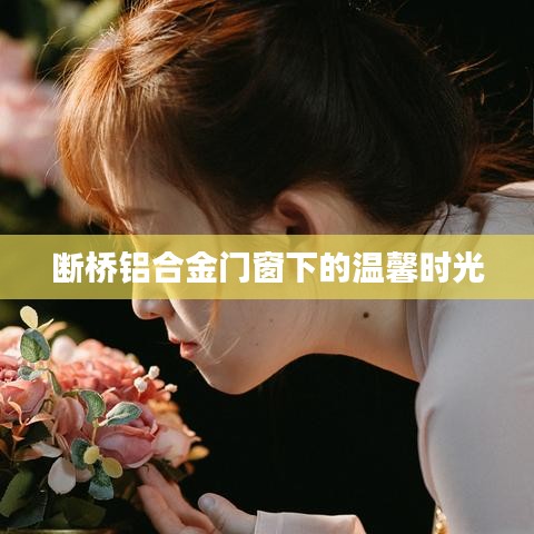 断桥铝合金门窗