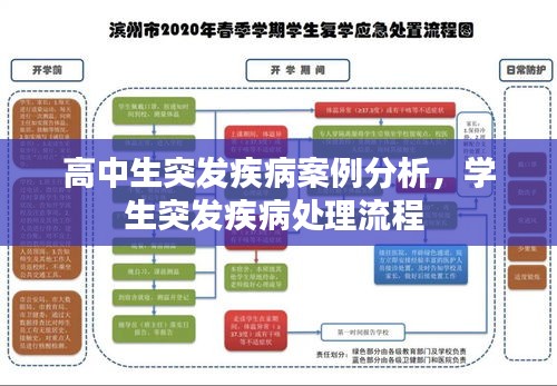 高中生突发疾病案例分析，学生突发疾病处理流程 