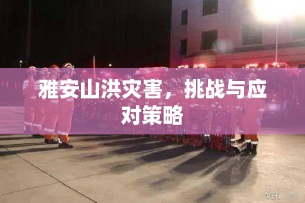 小家碧玉 第2页