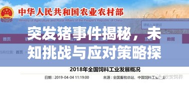 售后保障 第87页