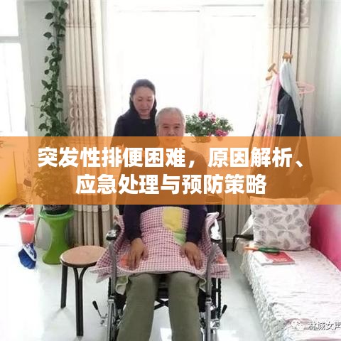 远山芙蓉 第2页
