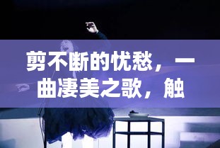 自作主张 第2页