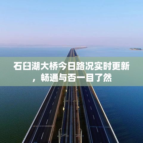 第533页