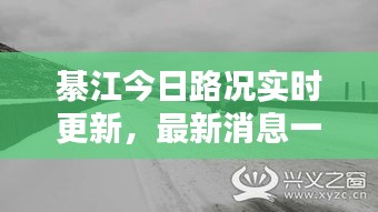 第499页