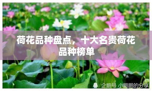 鸟飞兔走 第2页