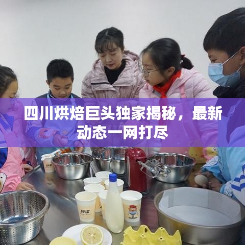 设计团队 第61页