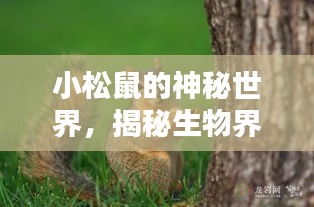 第342页