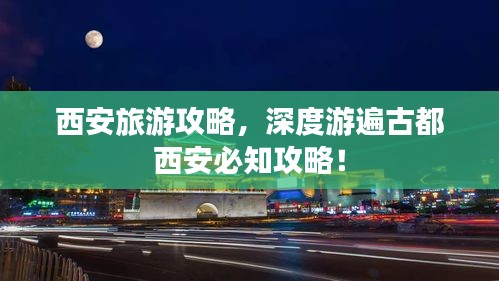 第323页