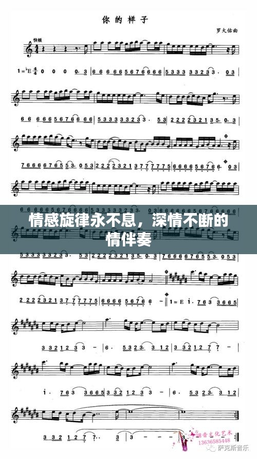 设计团队 第38页
