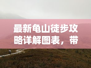 第262页