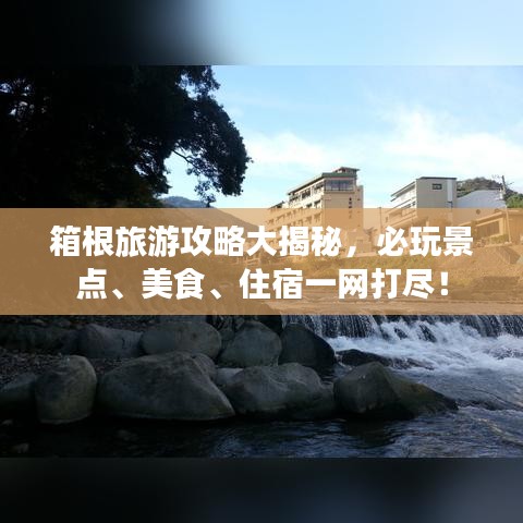 第238页