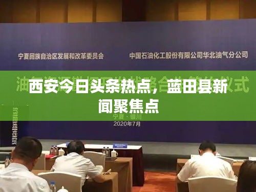 飞扬拨扈