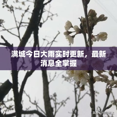 设计团队 第26页
