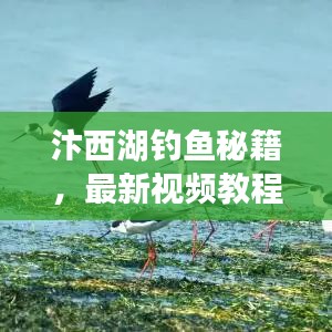 第137页