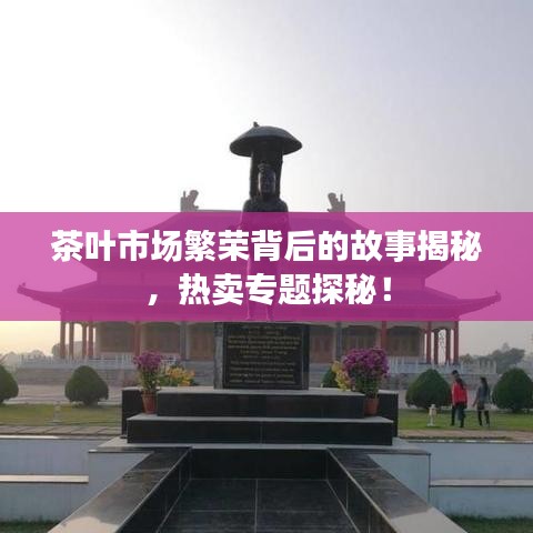 茶叶市场繁荣背后的故事揭秘，热卖专题探秘！
