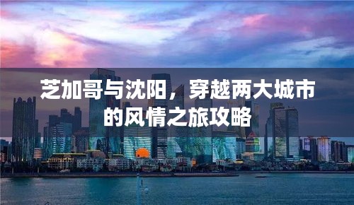 鸡飞狗跳