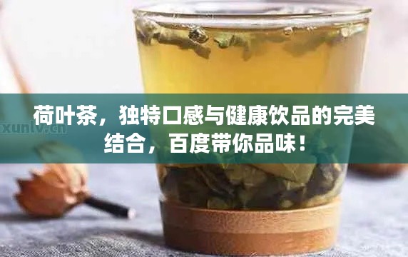 荷叶茶，独特口感与健康饮品的完美结合，百度带你品味！