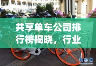 售后保障 第17页