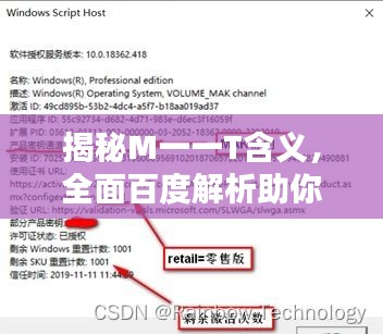 揭秘M一一T含义，全面百度解析助你了解真相