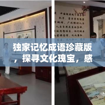 独家记忆成语珍藏版，探寻文化瑰宝，感悟成语魅力