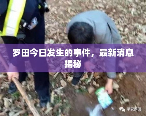 独一无二