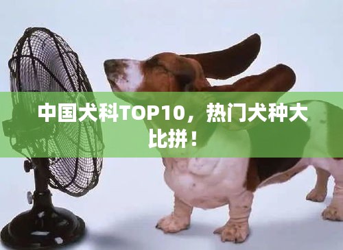 断织劝学