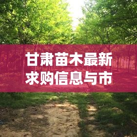 甘肃苗木最新求购信息与市场动态深度解析