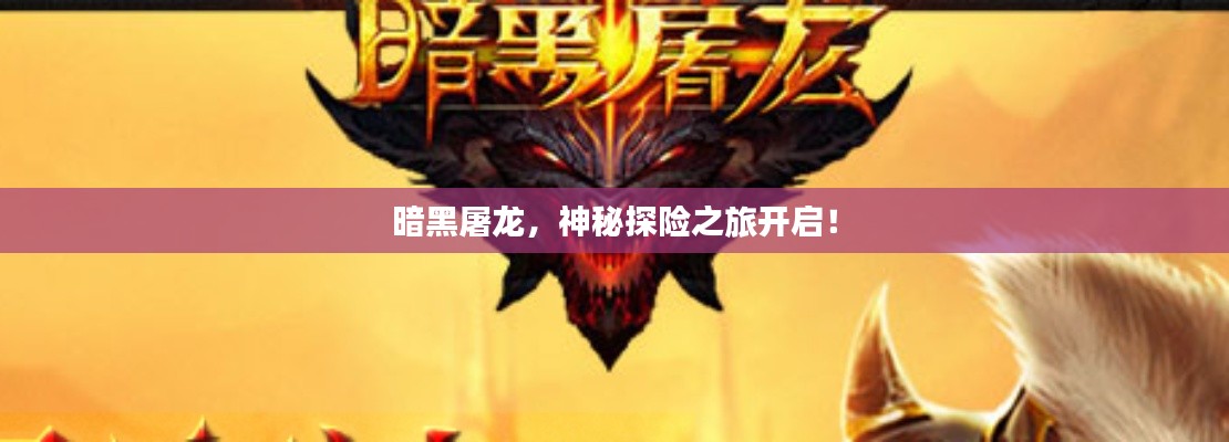 售后保障 第12页