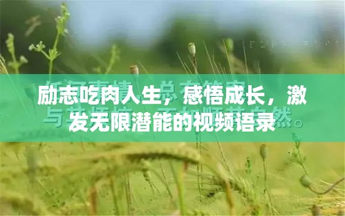食而不化