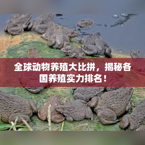 全球动物养殖大比拼，揭秘各国养殖实力排名！