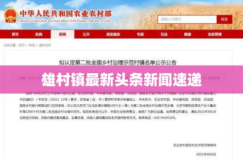 雄村镇最新头条新闻速递
