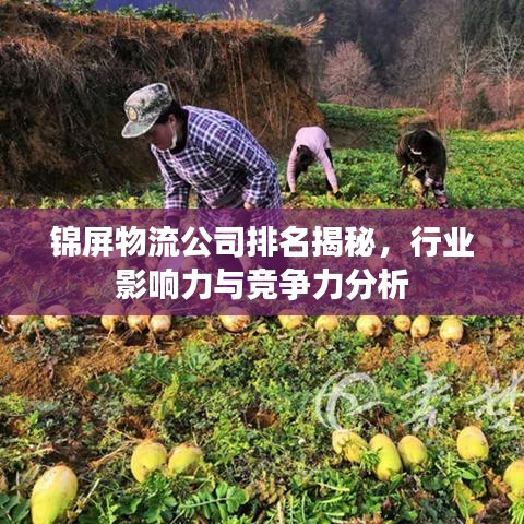 彬彬有礼