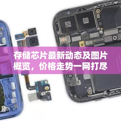 2025年4月 第5页