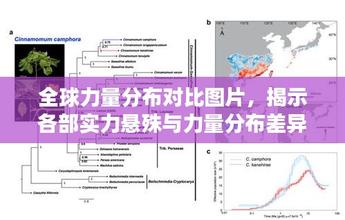 2025年5月10日