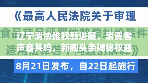 辽宁消协维权新进展，消费者声音共鸣，新闻头条揭秘权益保护之路