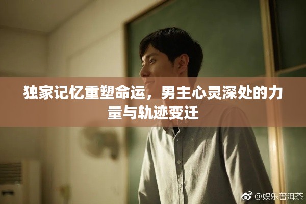 独家记忆重塑命运，男主心灵深处的力量与轨迹变迁