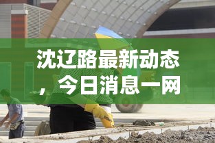 沈辽路最新动态，今日消息一网打尽！
