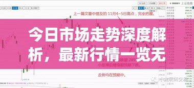 今日市场走势深度解析，最新行情一览无余