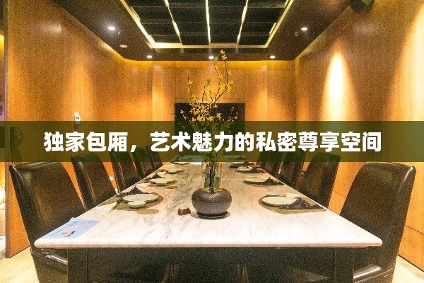 独家包厢，艺术魅力的私密尊享空间