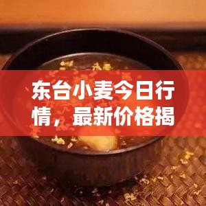 东台小麦今日行情，最新价格揭秘