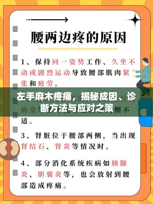 左手麻木疼痛，揭秘成因、诊断方法与应对之策