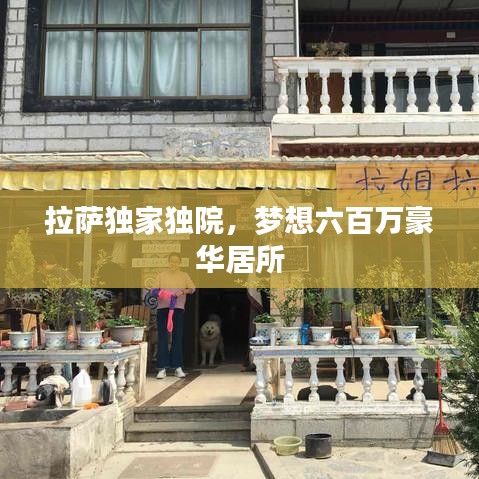 拉萨独家独院，梦想六百万豪华居所