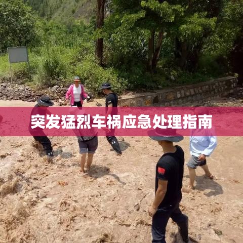 突发猛烈车祸应急处理指南