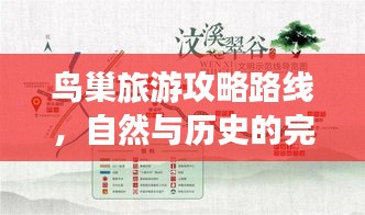 鸟巢旅游攻略路线，自然与历史的完美融合探索之旅