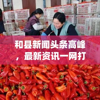 和县新闻头条高峰，最新资讯一网打尽！