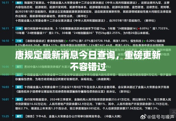 唐规定最新消息今日查询，重磅更新不容错过