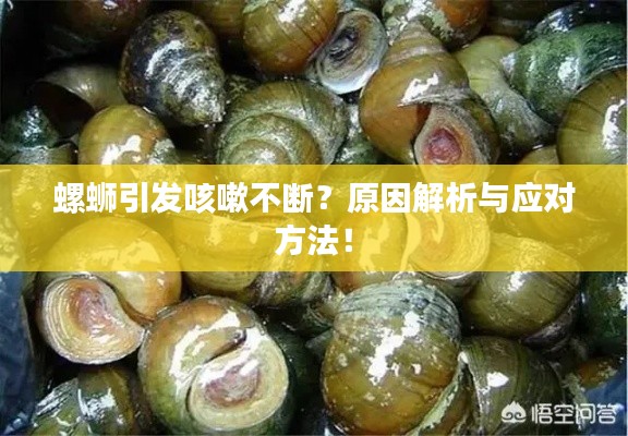 螺蛳引发咳嗽不断？原因解析与应对方法！
